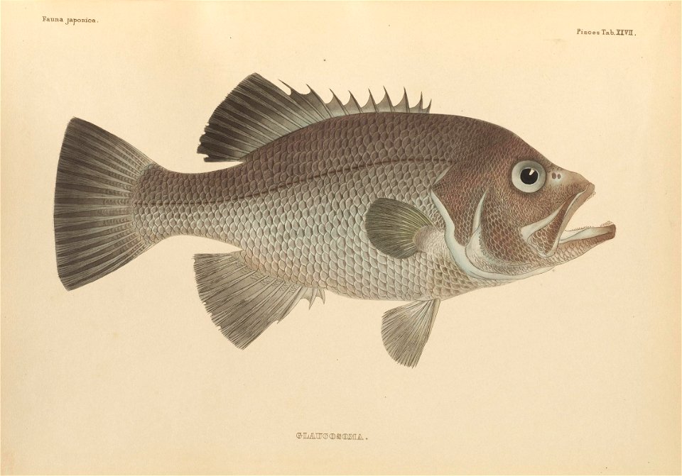 n412_w1150