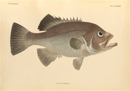 n412_w1150