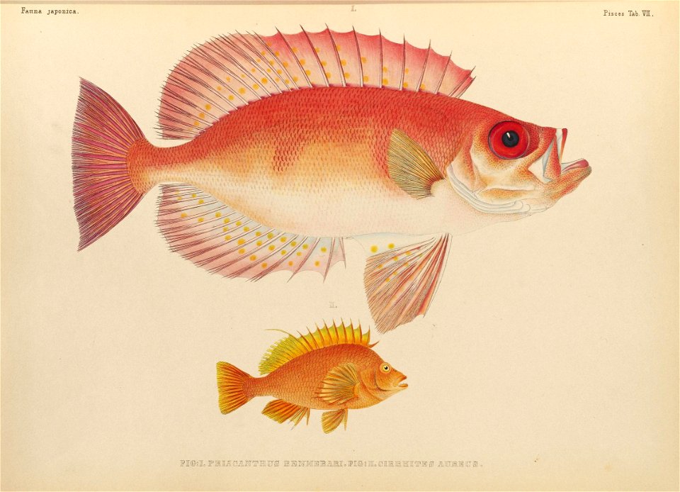 n352_w1150