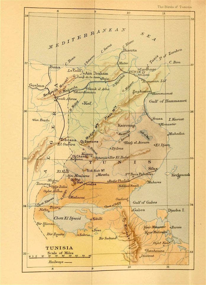 n364_w1150