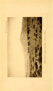 n9_w1150