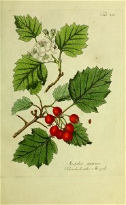 n122_w1150