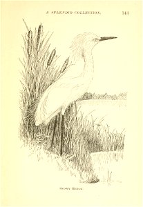 n164_w1150