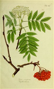 n178_w1150