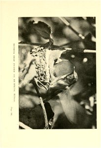 n126_w1150