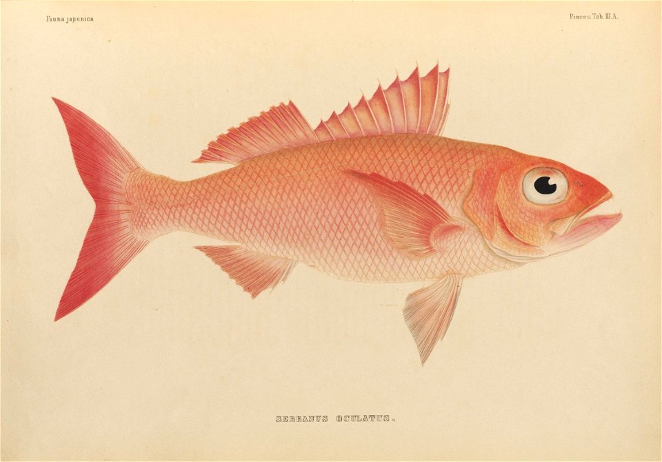 n342_w1150