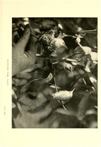 n122_w1150