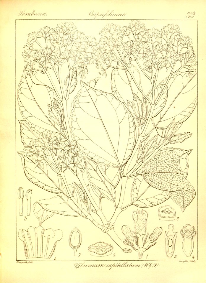 n350_w1150
