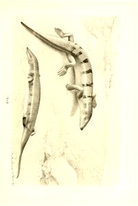 n276_w1150