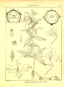 n377_w1150