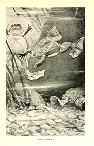 n214_w1150