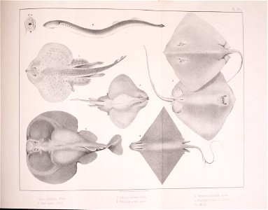 n378_w1150