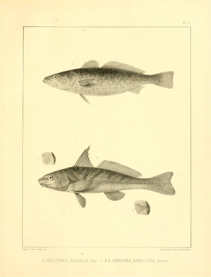 n316_w1150