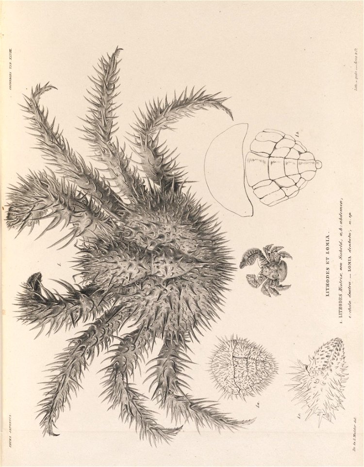 n417_w1150