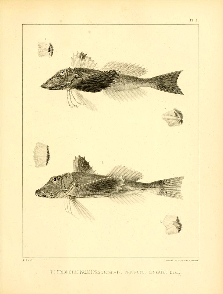 n308_w1150