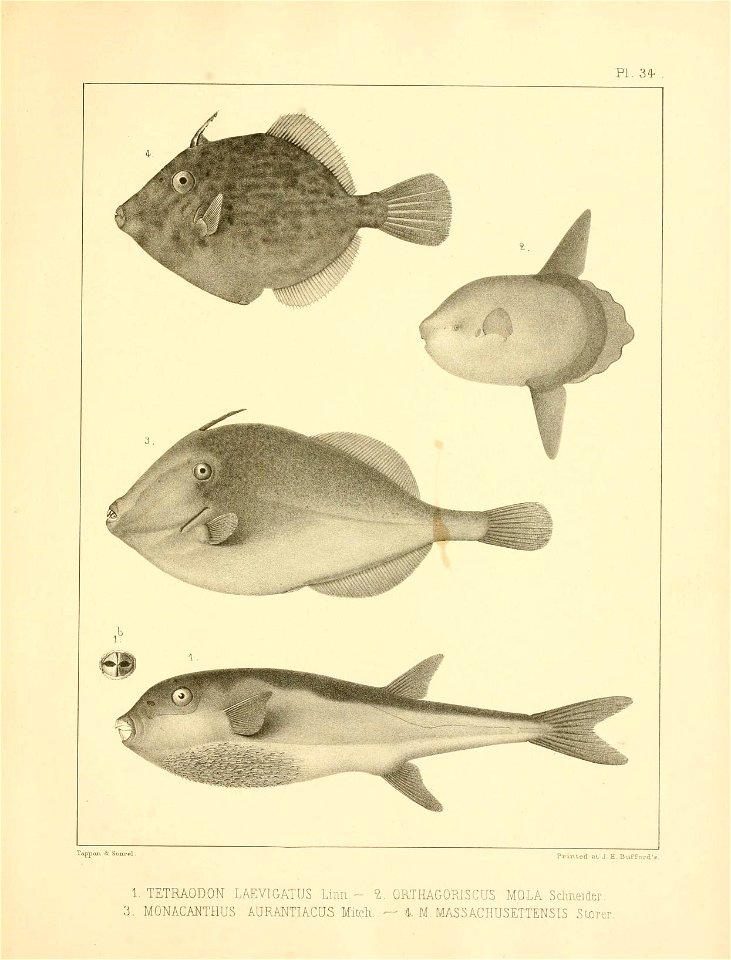 n366_w1150