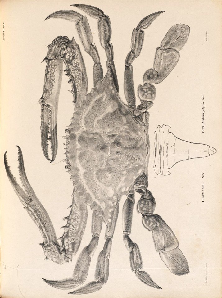 n354_w1150