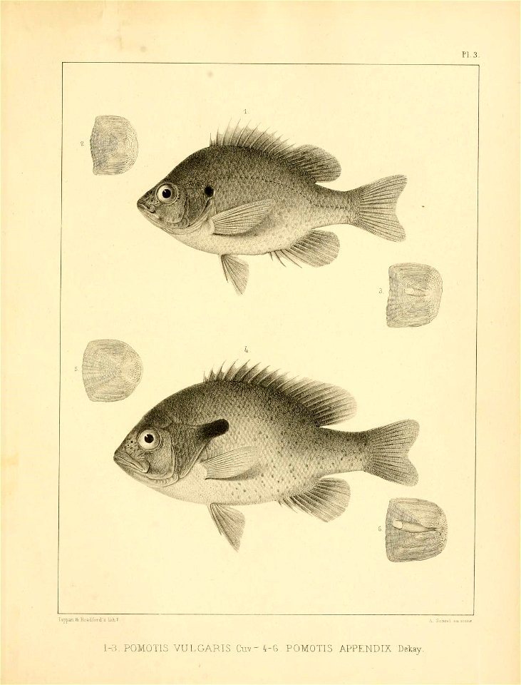 n304_w1150