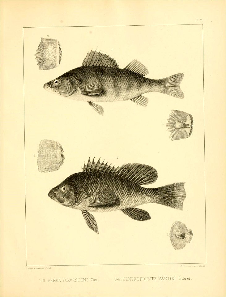n302_w1150