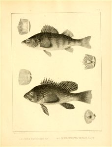 n302_w1150