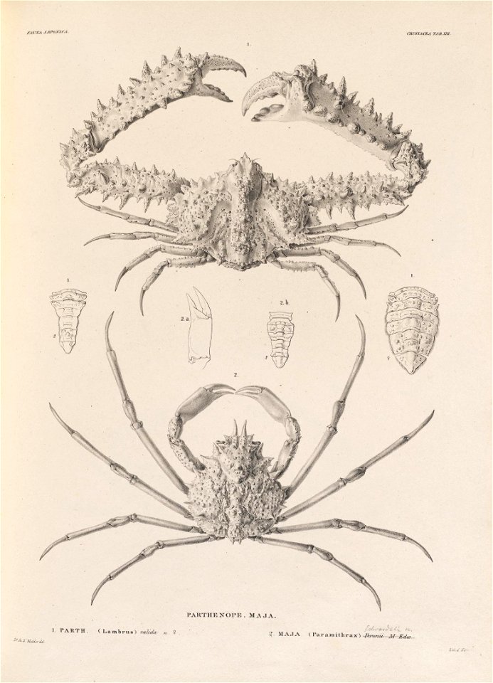 n378_w1150