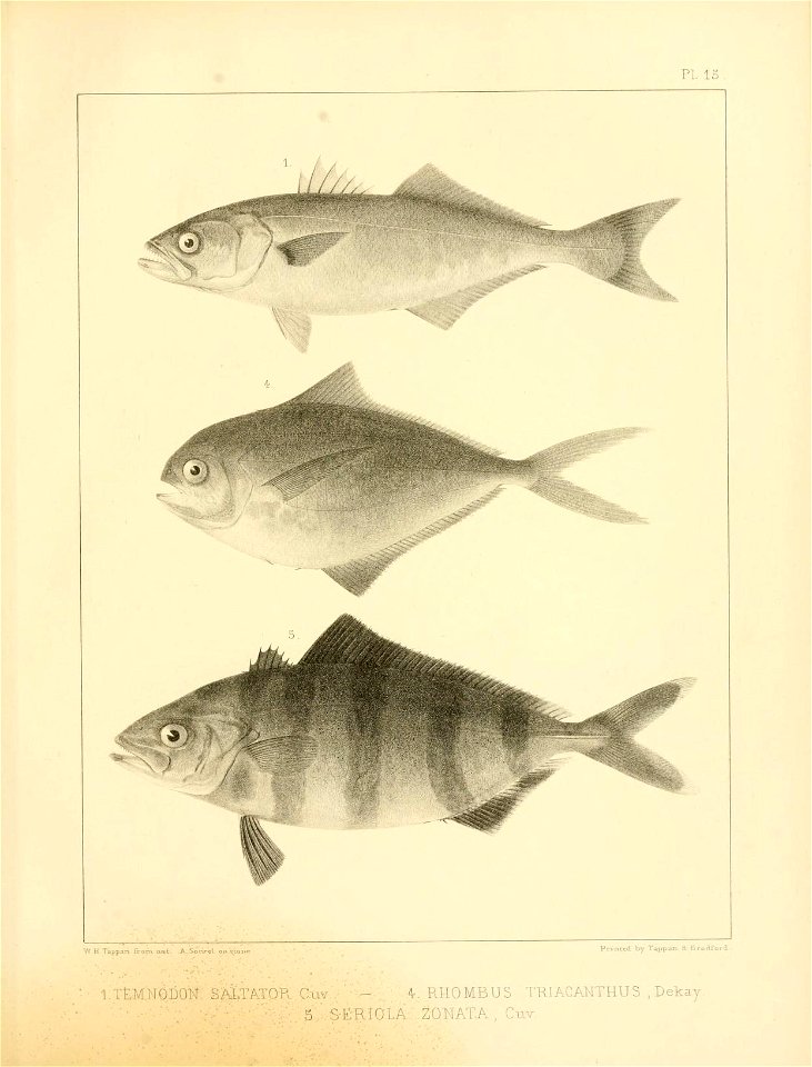 n328_w1150