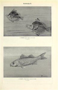 n564_w1150