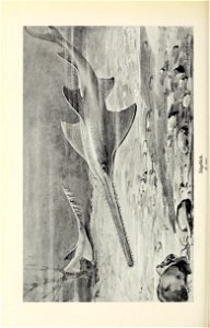 n143_w1150
