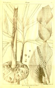 n119_w1150