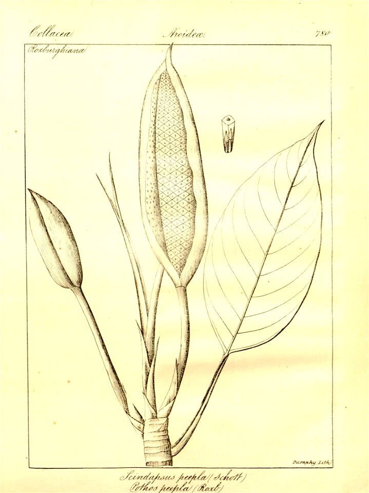 n104_w1150