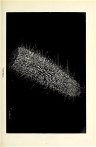 n50_w1150