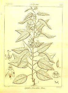 n172_w1150