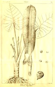 n118_w1150