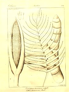 n103_w1150