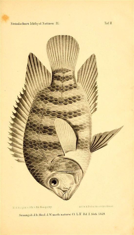 n332_w1150