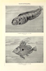 n629_w1150