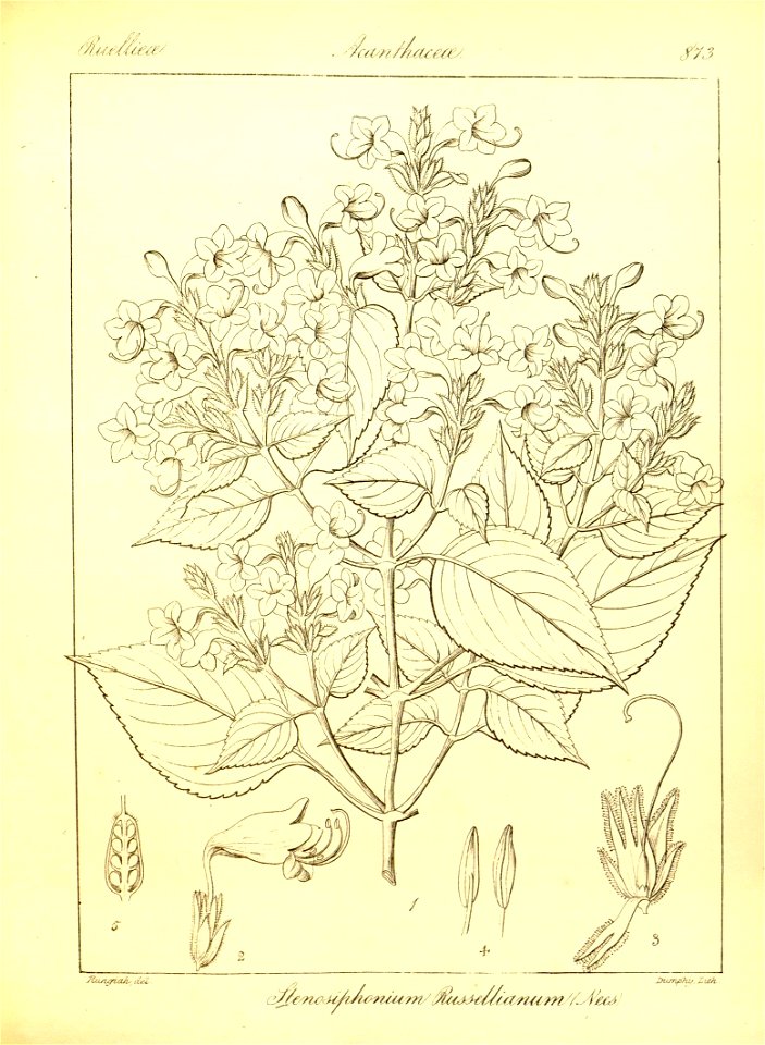 n197_w1150