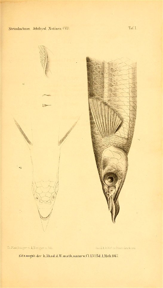 n190_w1150