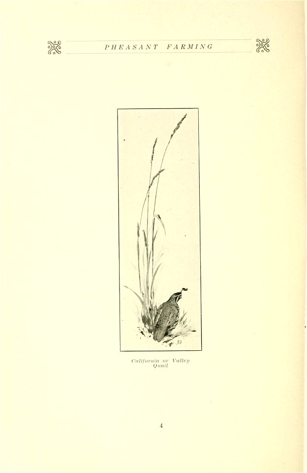 n5_w1150