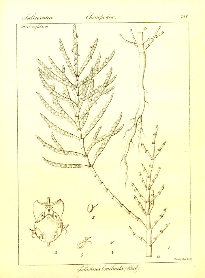 n62_w1150