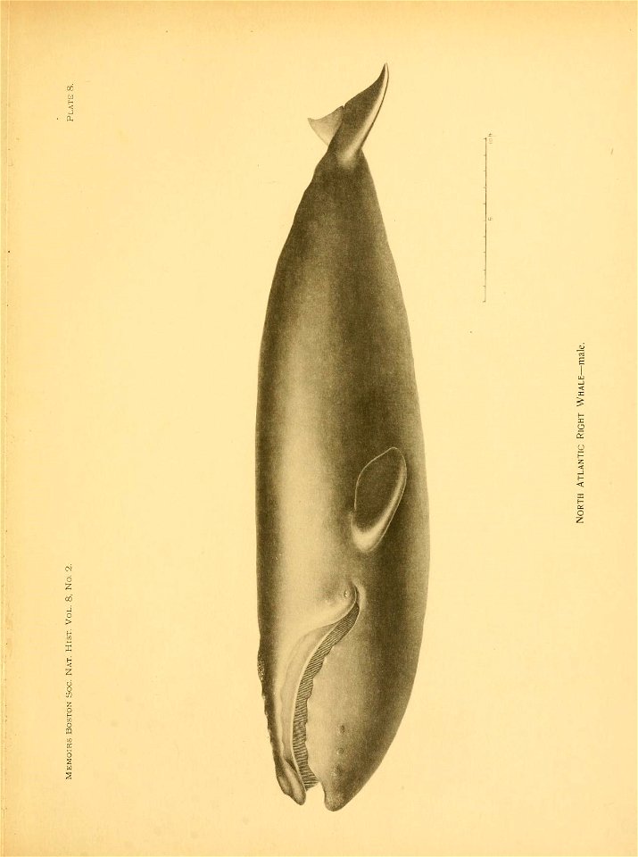 n22_w1150