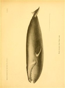 n22_w1150