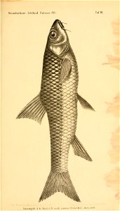 n194_w1150