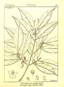 n85_w1150