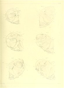 n126_w1150