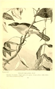 n256_w1150