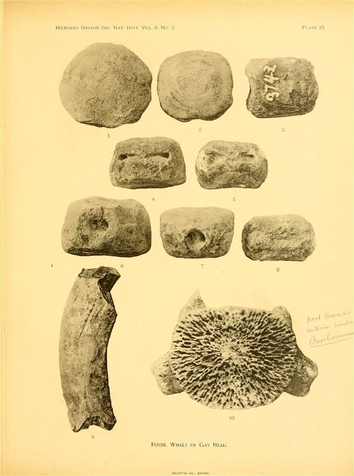 n218_w1150