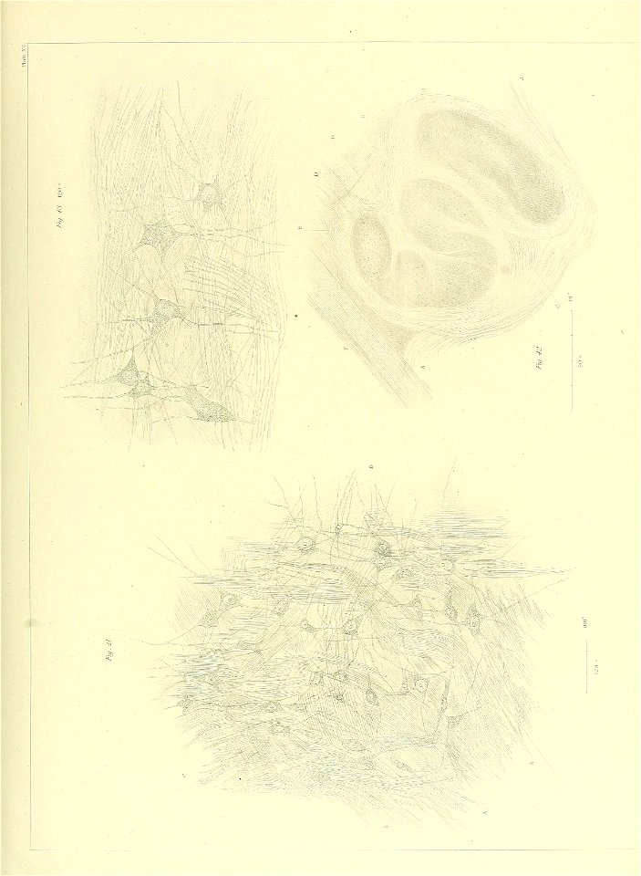 n124_w1150