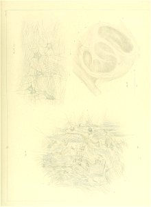 n124_w1150