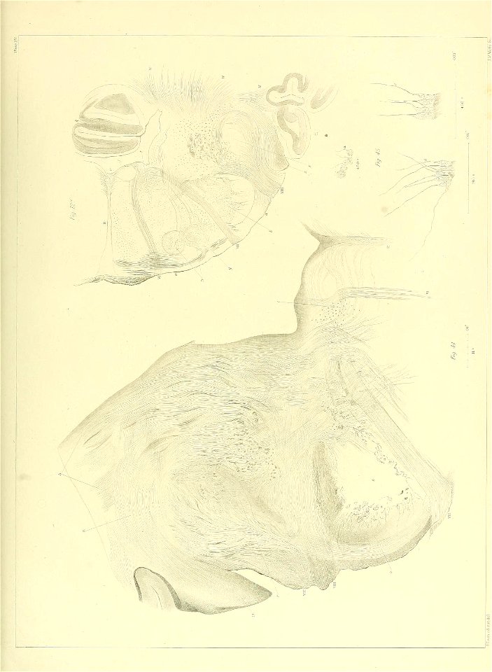n132_w1150